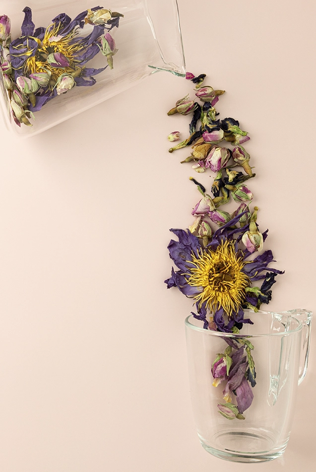 Photo lifestyle : versement de fleurs séchées dans une tasse transparente, visuel branding produits